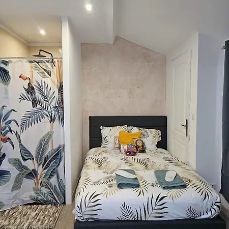 Cosy 50m2 Moderne Avec Terrasse, Et Sauna Communs, A 2 Pas De La Place Dalton